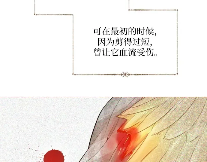 第231页
