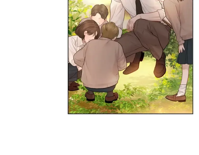 第531页