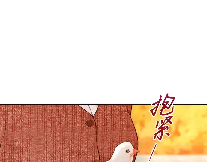 第531页