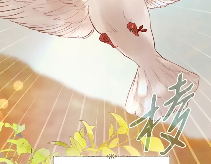 第411页