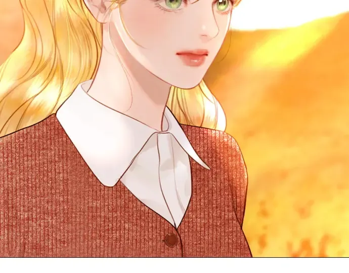 第528页