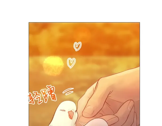 第666页