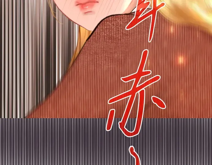 第528页
