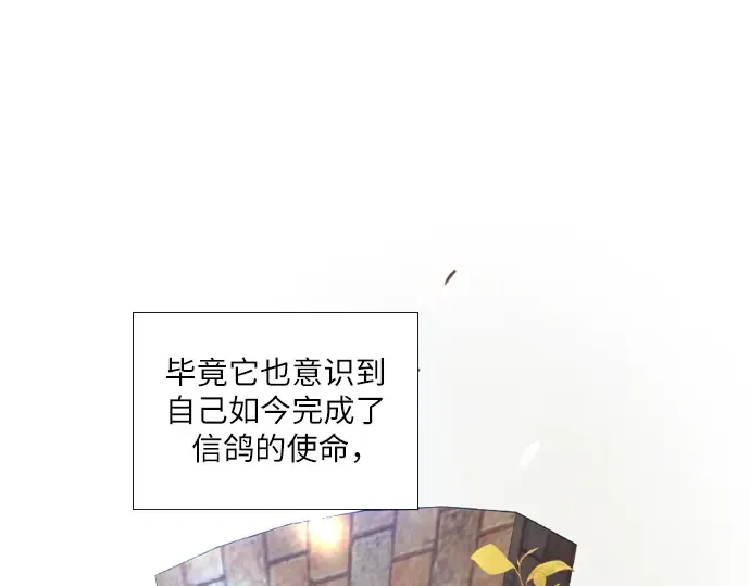 第606页