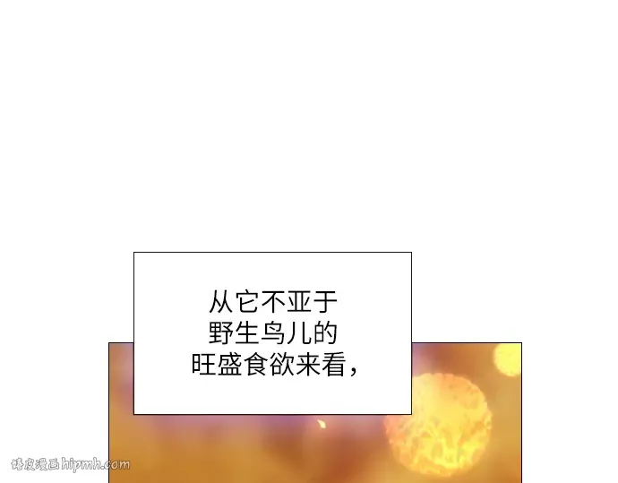 第597页