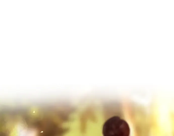 第543页