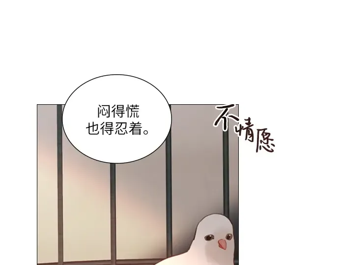 第225页