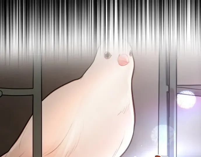 第444页