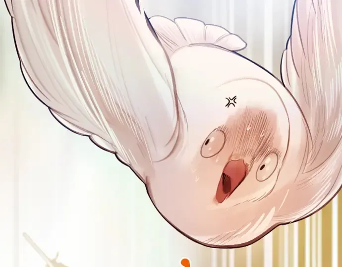 第267页
