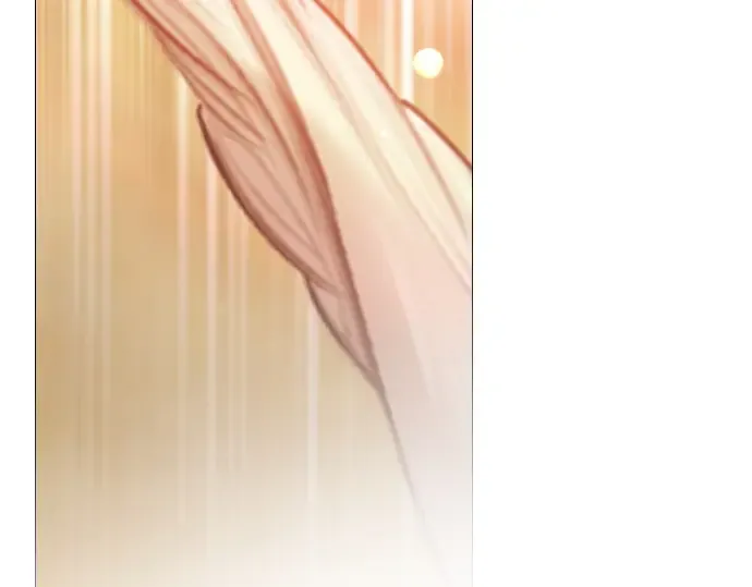 第246页