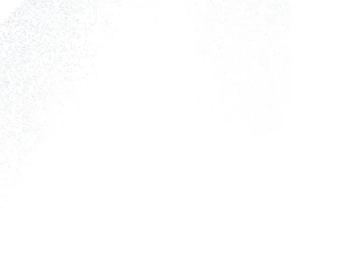 第441页