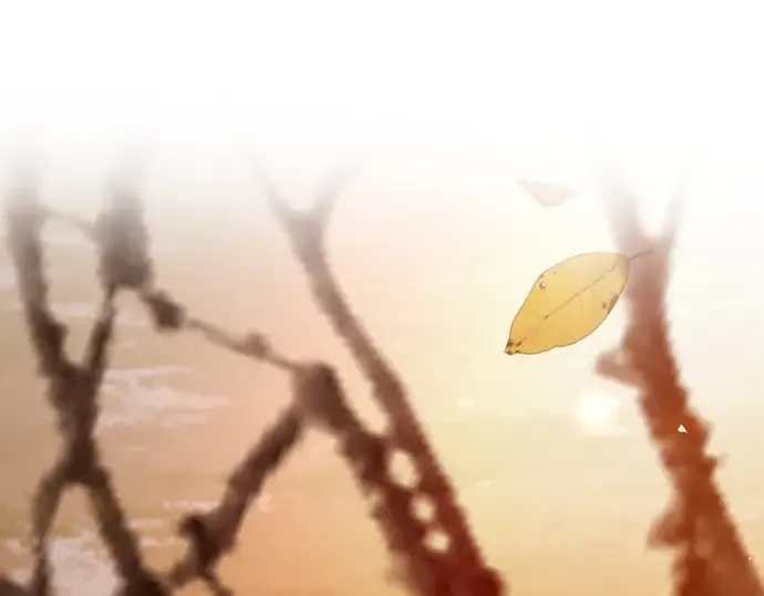第591页