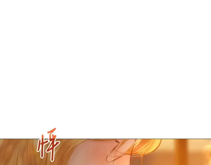 第447页