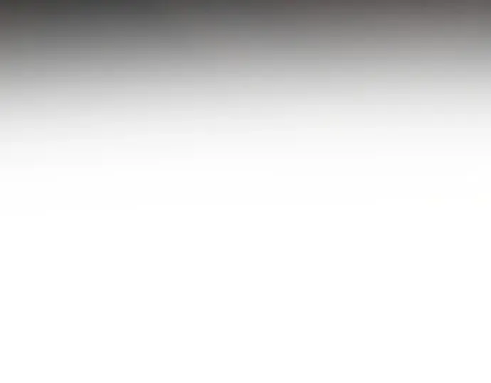 第294页