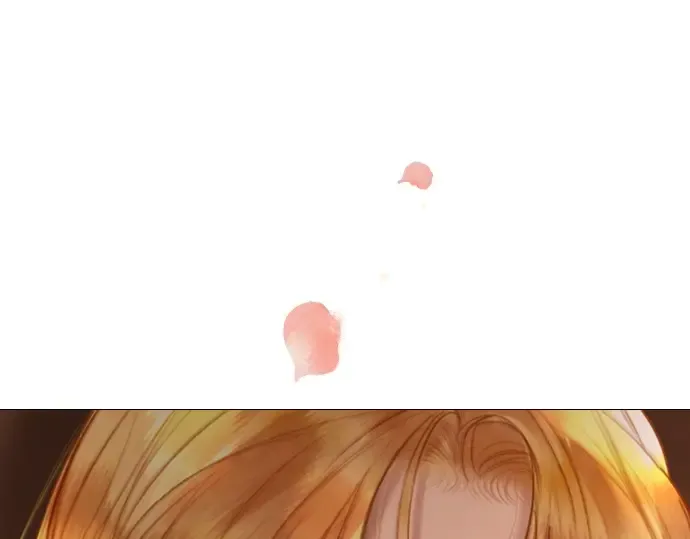 第648页