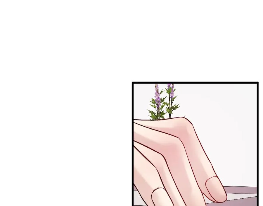 第255页