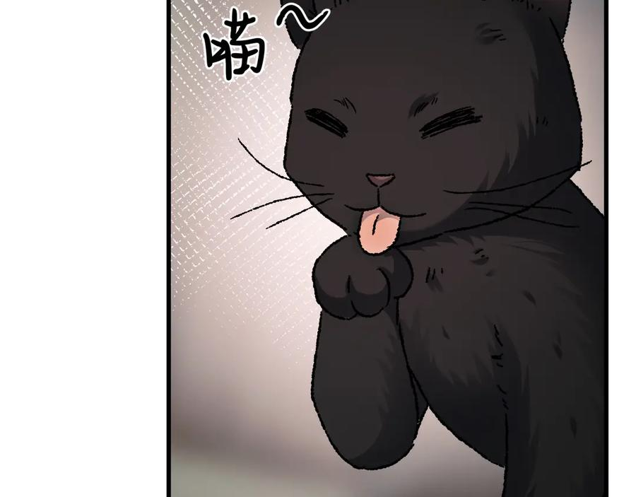 第411页