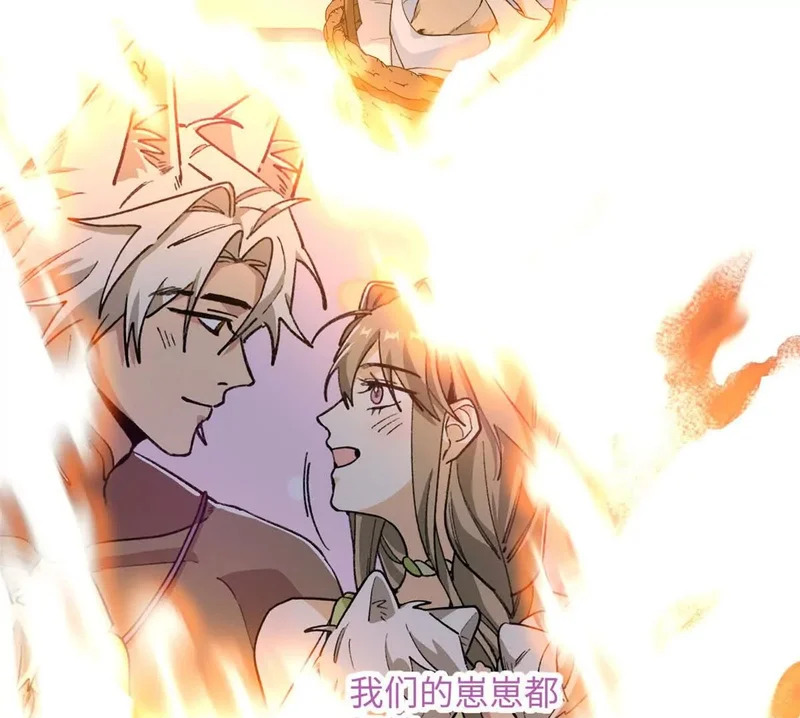 第243页
