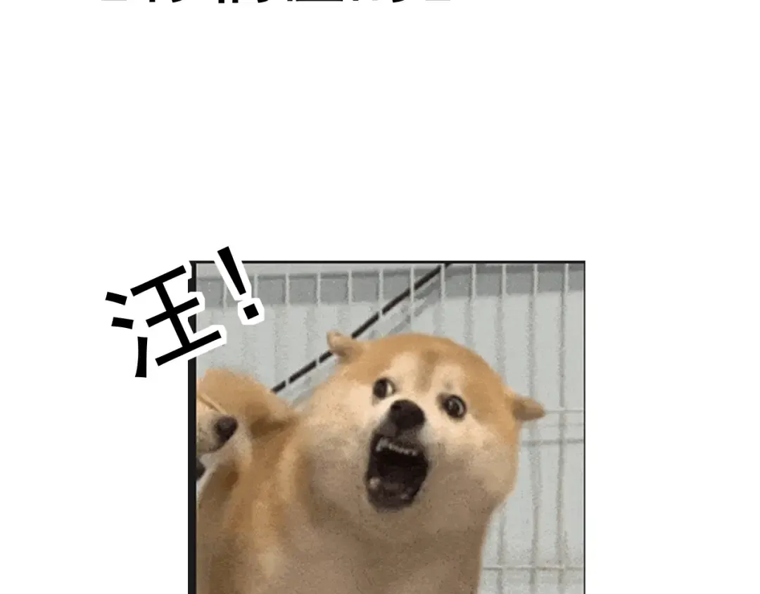 第498页