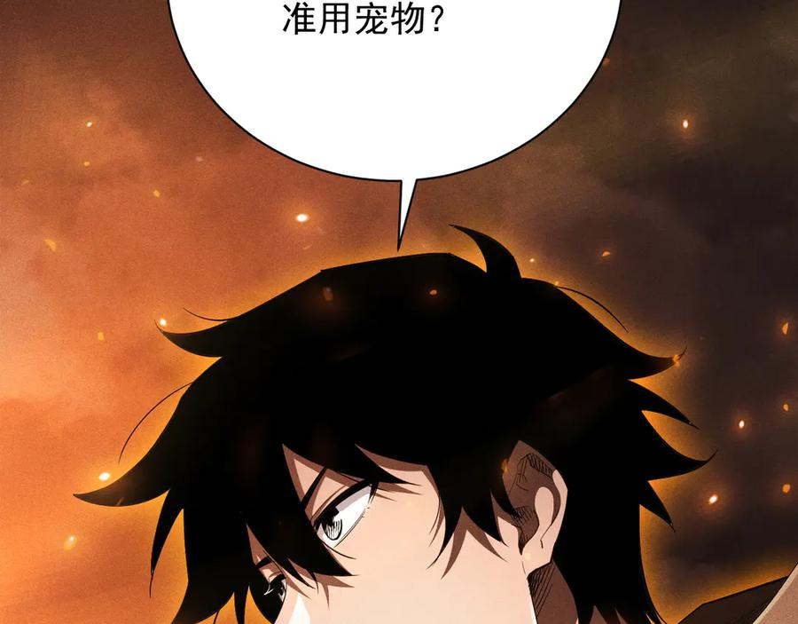 第231页