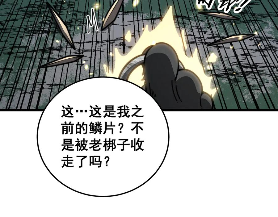第333页