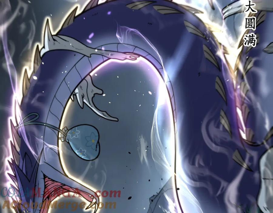 第204页