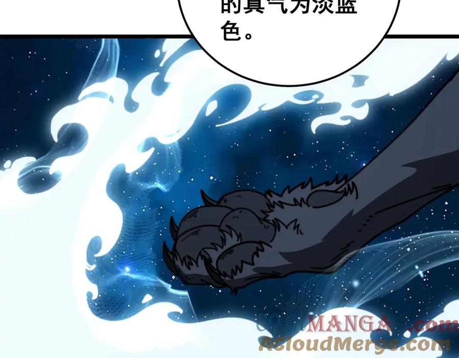 第204页