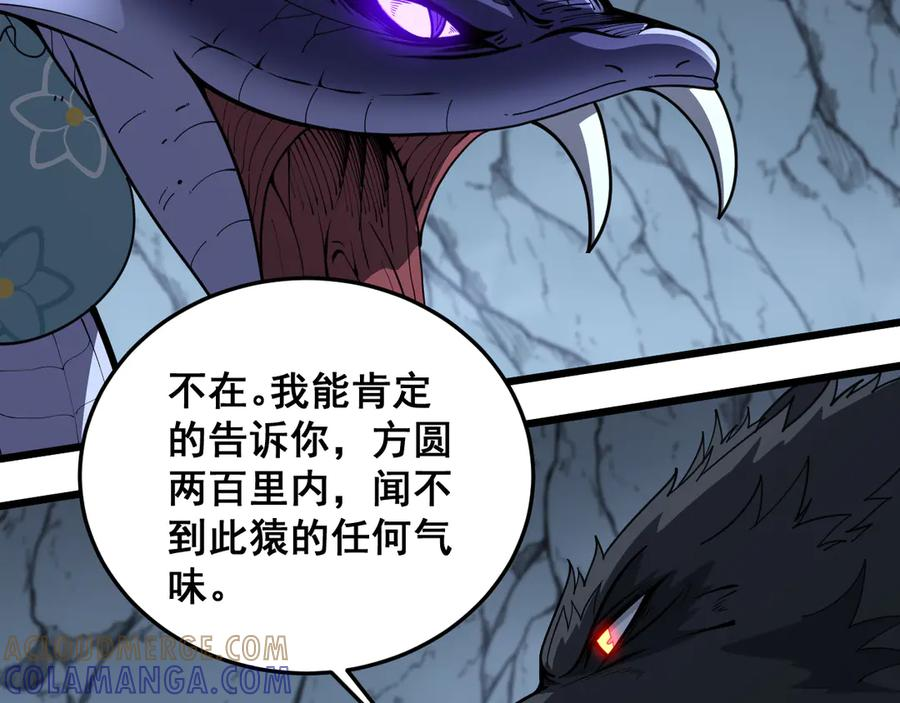 第216页