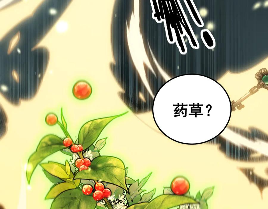 第255页