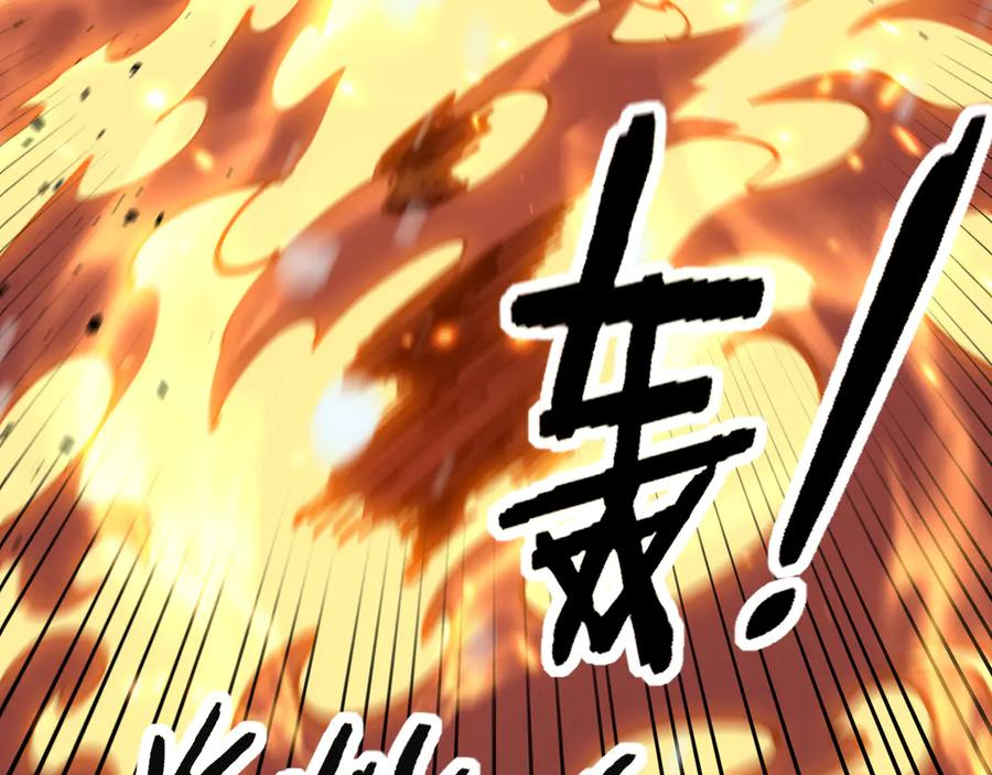 第282页