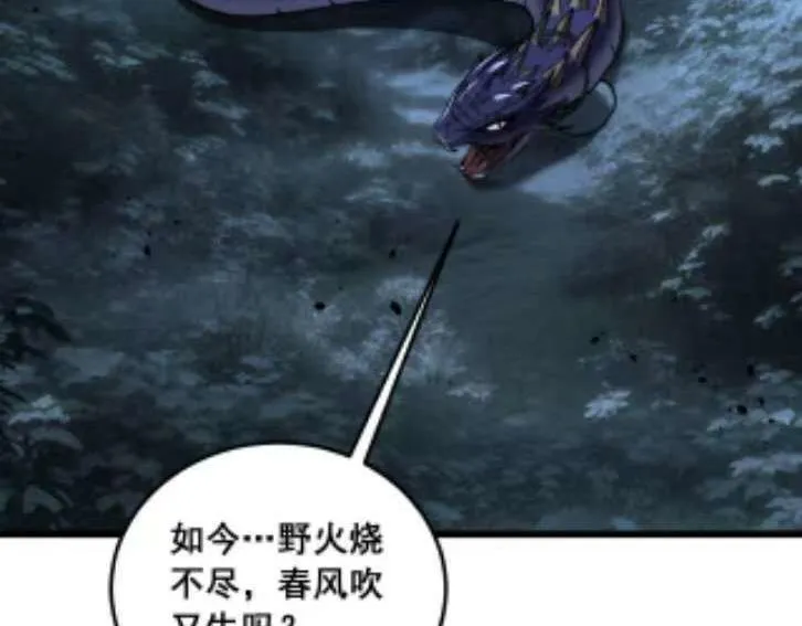 第207页