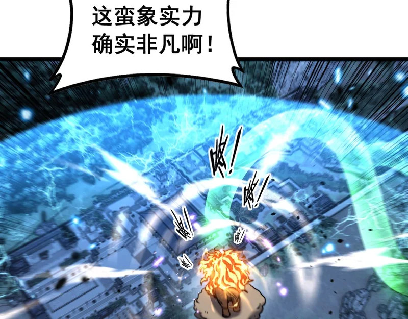 第204页