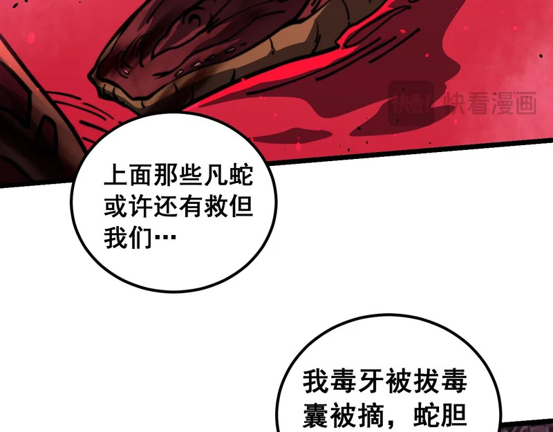 第261页