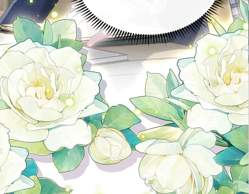 第342页