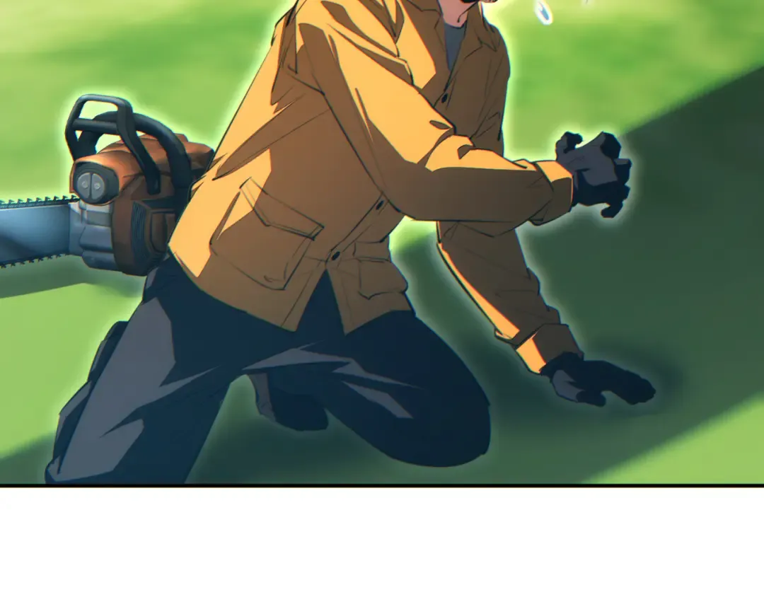 第204页