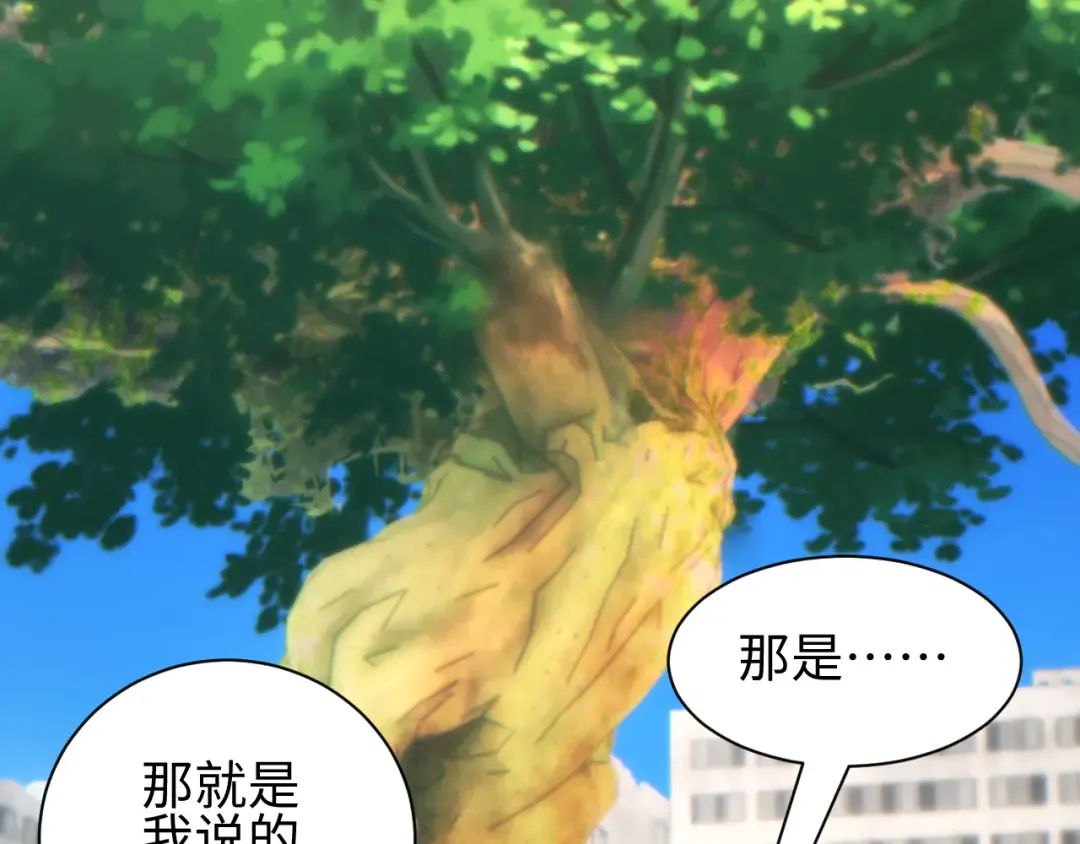 第198页