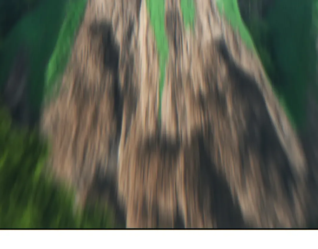 第282页