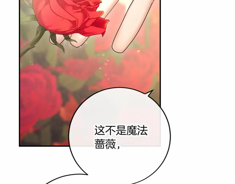 第393页