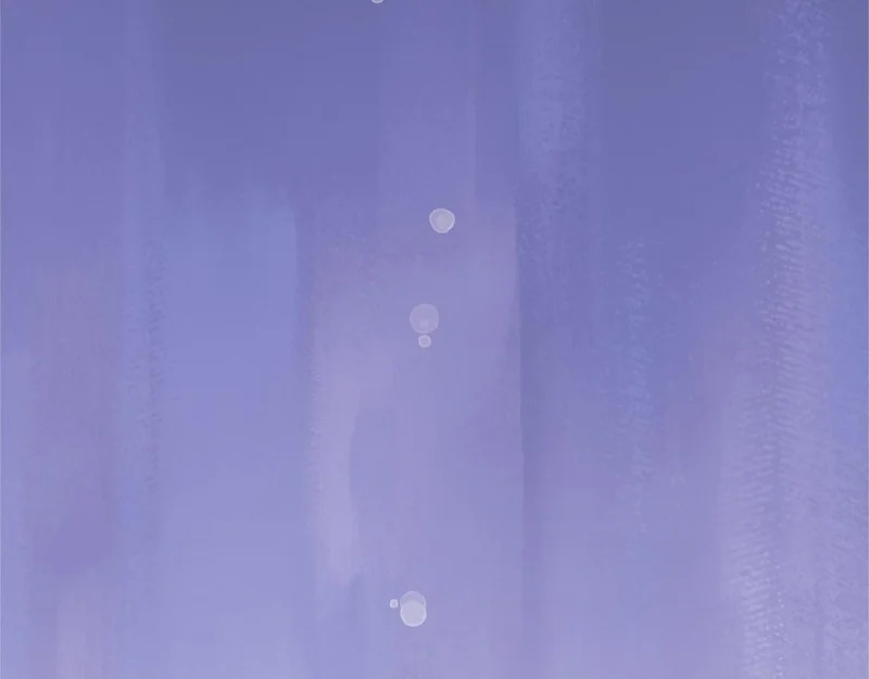 第456页