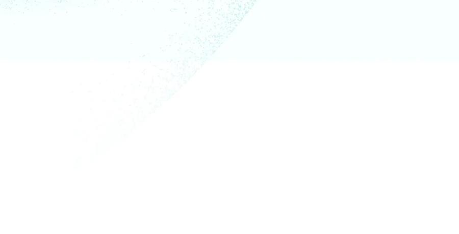 第303页