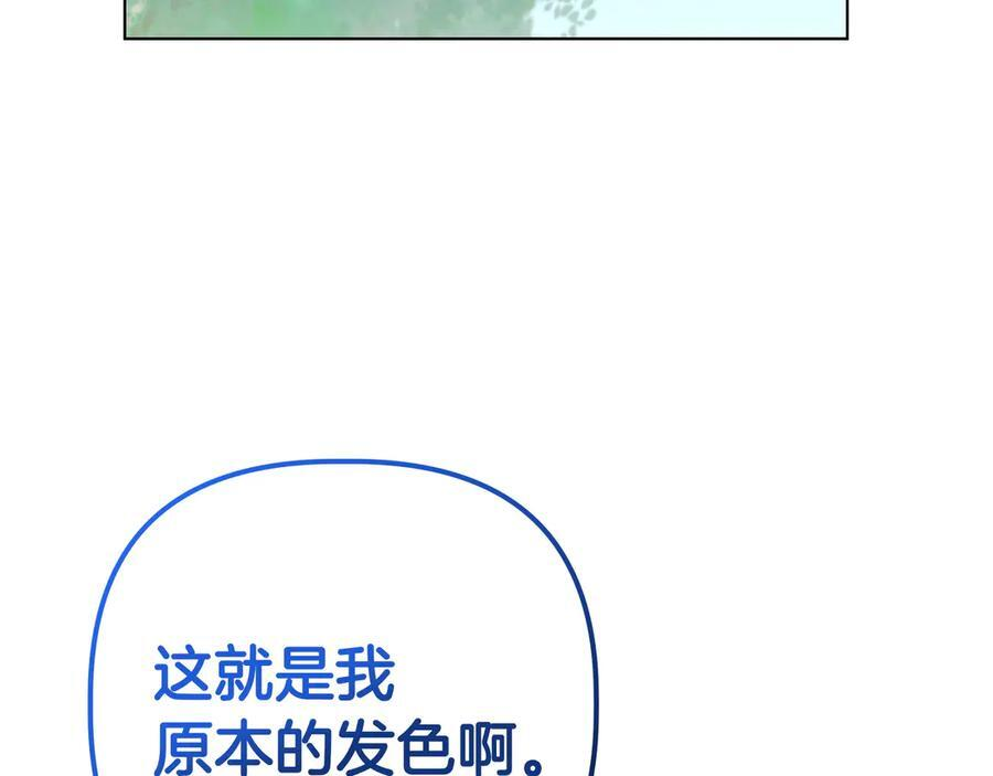 第246页