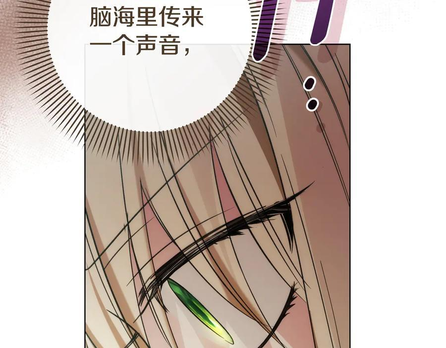 第291页