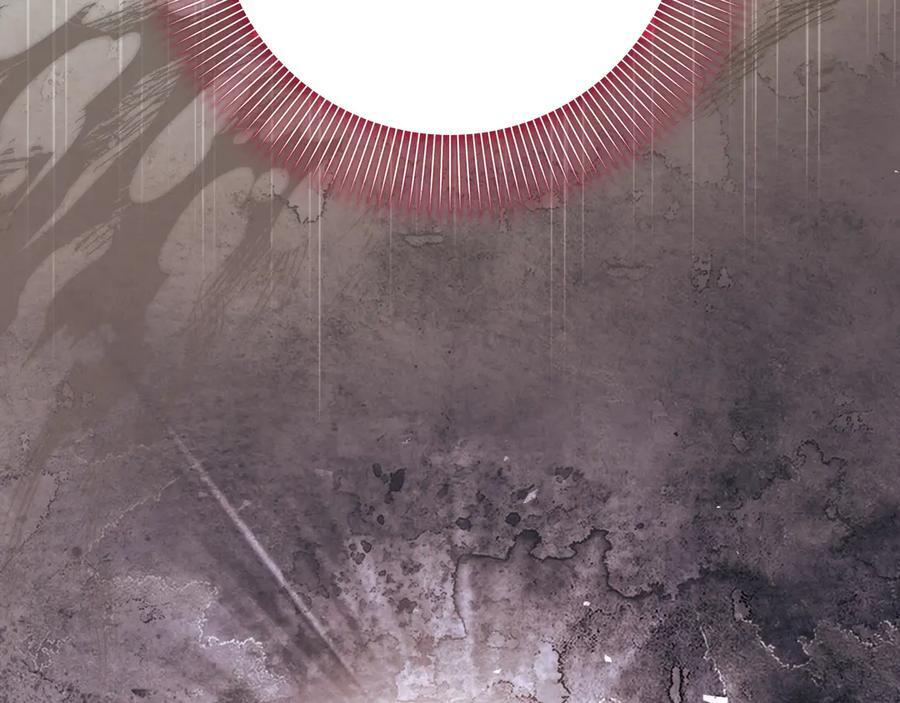 第246页