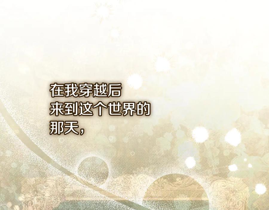 第243页