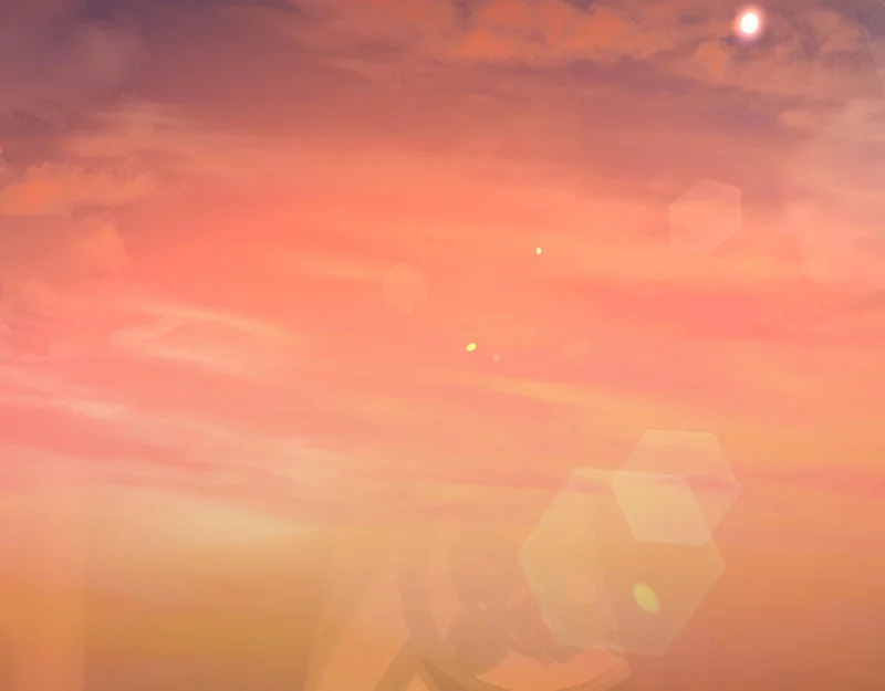 第216页