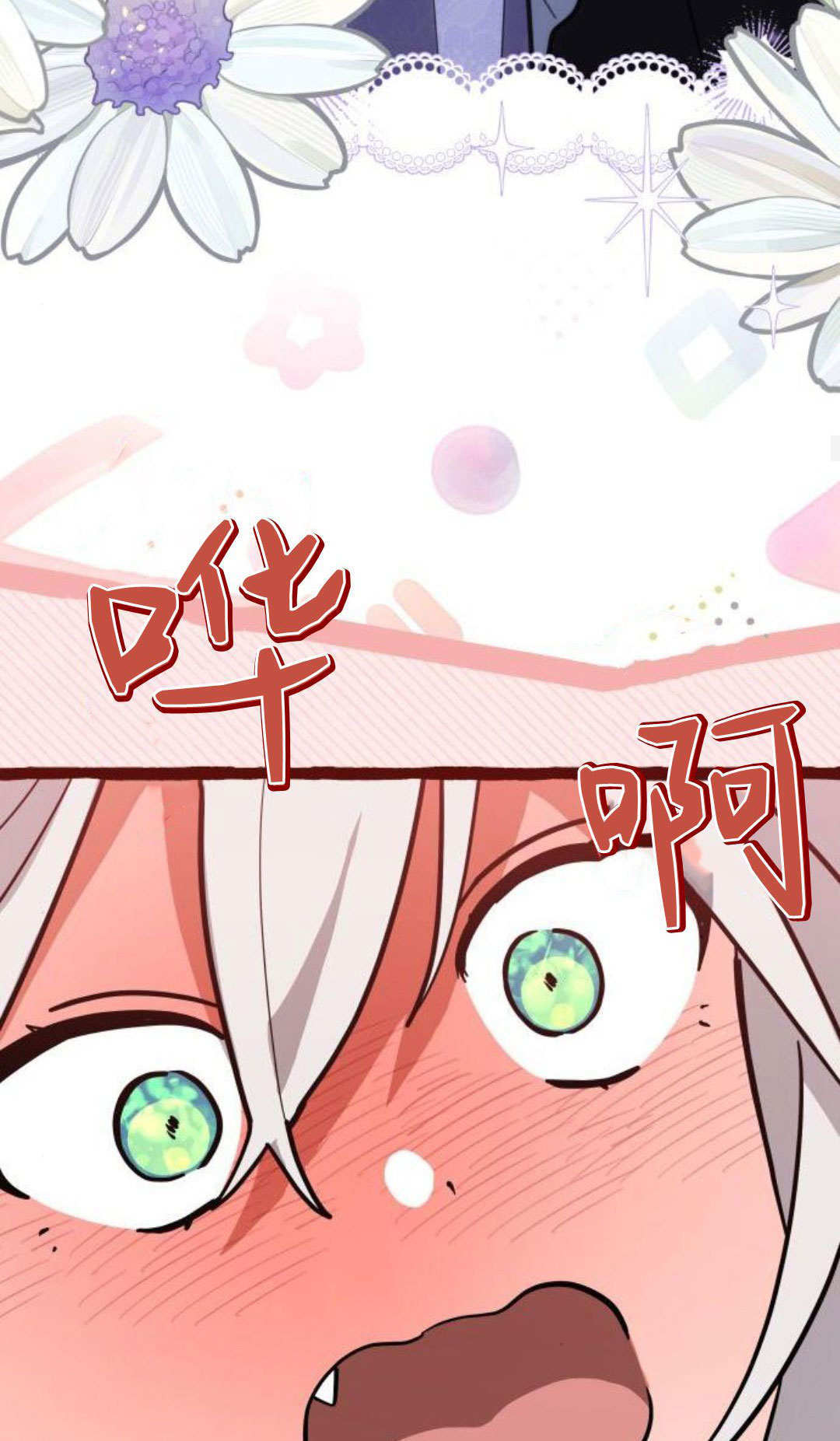 第207页