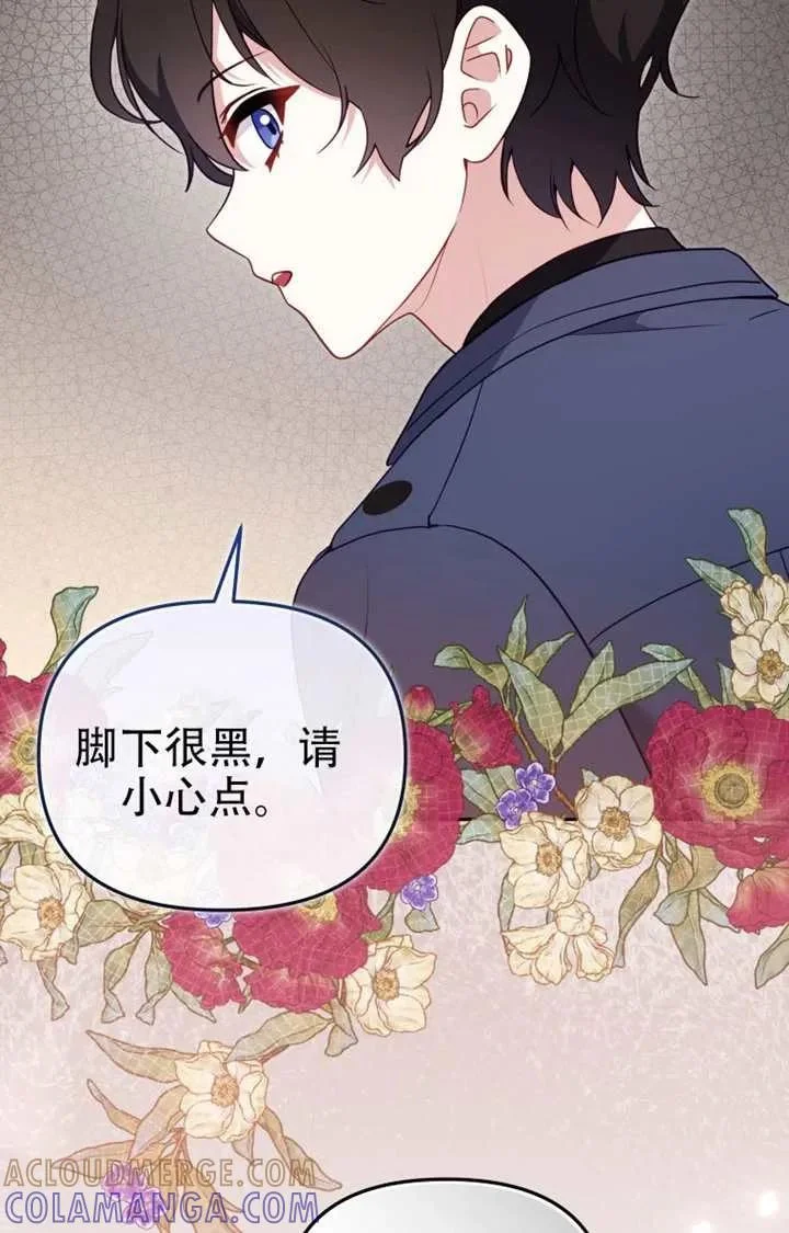 第204页