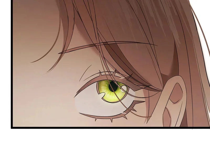 第252页