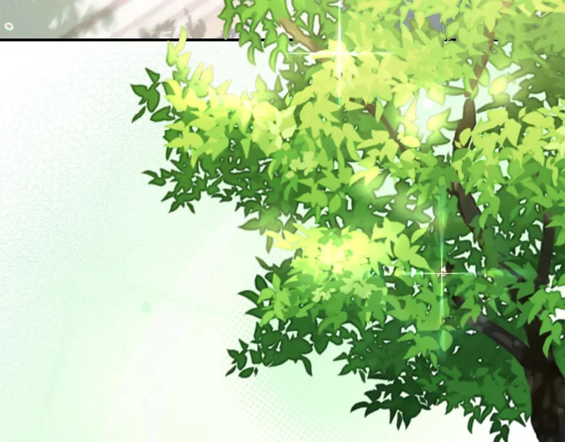 第258页