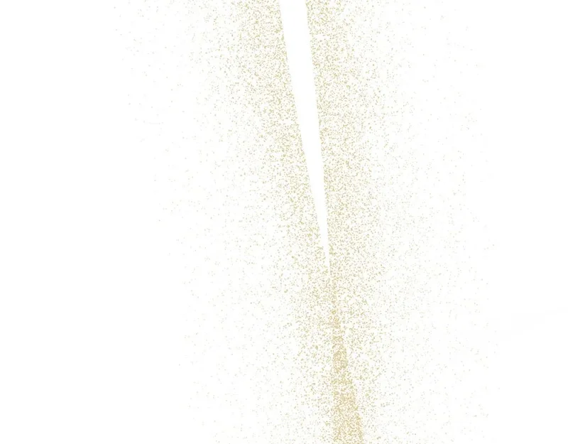 第675页